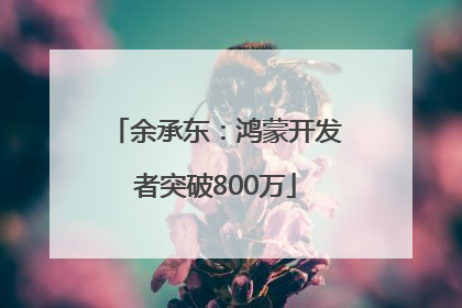 余承东：鸿蒙开发者突破800万
