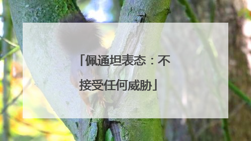 佩通坦表态：不接受任何威胁