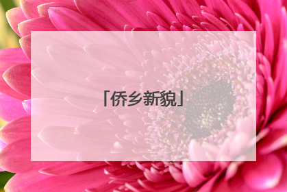 侨乡新貌