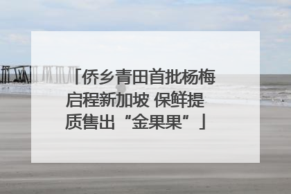 侨乡青田首批杨梅启程新加坡 保鲜提质售出“金果果”