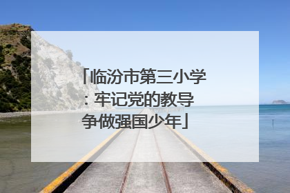 临汾市第三小学：牢记党的教导 争做强国少年