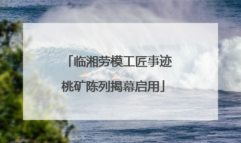 临湘劳模工匠事迹桃矿陈列揭幕启用