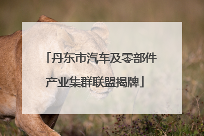 丹东市汽车及零部件产业集群联盟揭牌