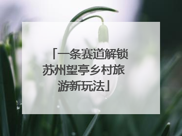 一条赛道解锁苏州望亭乡村旅游新玩法