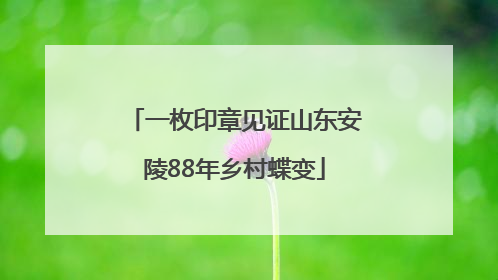 一枚印章见证山东安陵88年乡村蝶变