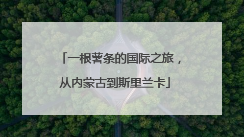 一根薯条的国际之旅，从内蒙古到斯里兰卡
