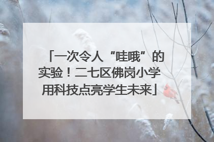 一次令人“哇哦”的实验！二七区佛岗小学用科技点亮学生未来
