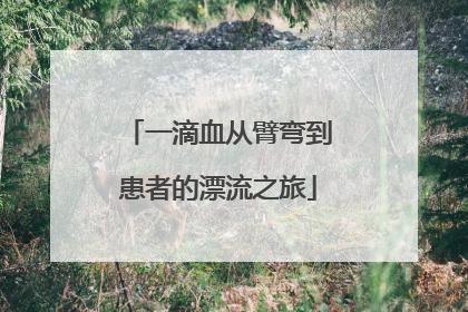 一滴血从臂弯到患者的漂流之旅