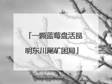一颗蓝莓盘活昆明东川尾矿困局