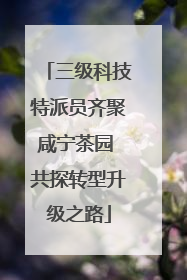 三级科技特派员齐聚咸宁茶园 共探转型升级之路