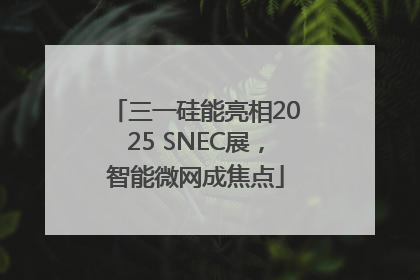 三一硅能亮相2025 SNEC展，智能微网成焦点