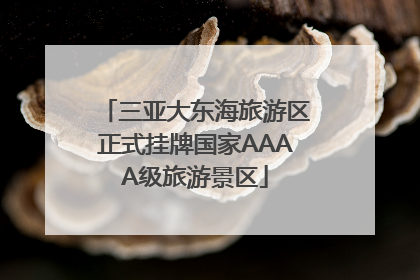 三亚大东海旅游区正式挂牌国家AAAA级旅游景区
