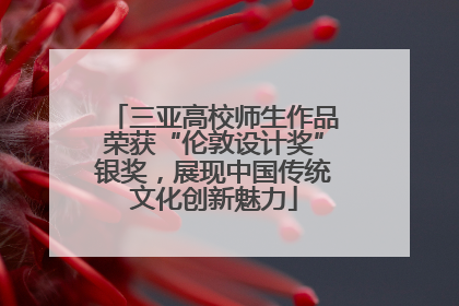 三亚高校师生作品荣获“伦敦设计奖”银奖，展现中国传统文化创新魅力