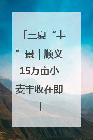 三夏“丰”景｜顺义15万亩小麦丰收在即