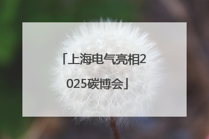 上海电气亮相2025碳博会