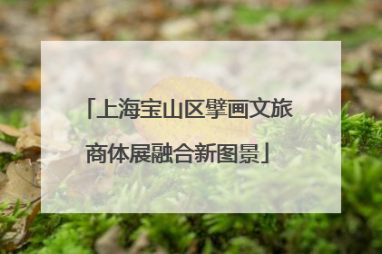 上海宝山区擘画文旅商体展融合新图景