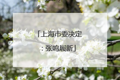 上海市委决定：张鸣履新