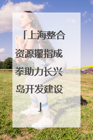 上海整合资源攥指成拳助力长兴岛开发建设