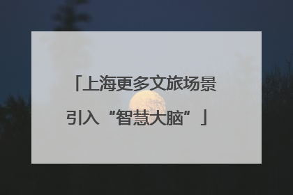 上海更多文旅场景引入“智慧大脑”