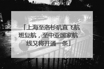 上海至洛杉矶直飞航班复航，至中亚国家航线又将开通一条