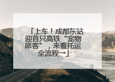 上车！成都东站迎首只高铁“宠物旅客”，来看托运全流程→