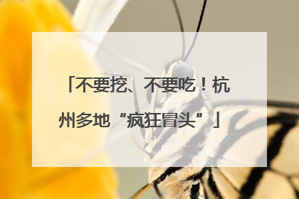 不要挖、不要吃！杭州多地“疯狂冒头”