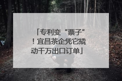 专利变“票子”！宜昌茶企凭它撬动千万出口订单