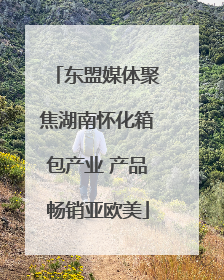 东盟媒体聚焦湖南怀化箱包产业 产品畅销亚欧美