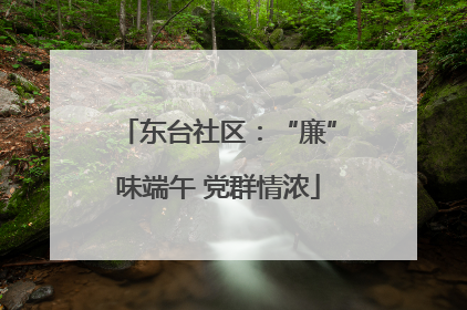 东台社区：“廉”味端午 党群情浓