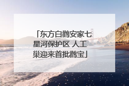 东方白鹳安家七星河保护区 人工巢迎来首批鹳宝