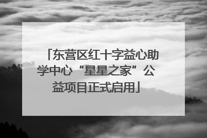 东营区红十字益心助学中心“星星之家”公益项目正式启用
