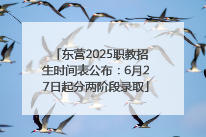 东营2025职教招生时间表公布：6月27日起分两阶段录取