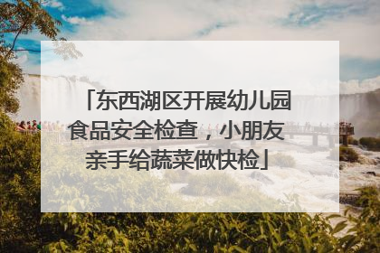 东西湖区开展幼儿园食品安全检查，小朋友亲手给蔬菜做快检