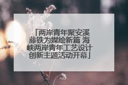 两岸青年聚安溪 藤铁为媒绘新篇 海峡两岸青年工艺设计创新主题活动开幕