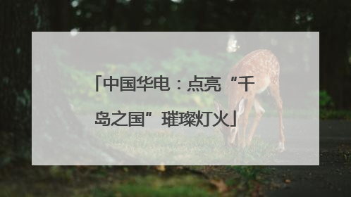 中国华电：点亮“千岛之国”璀璨灯火