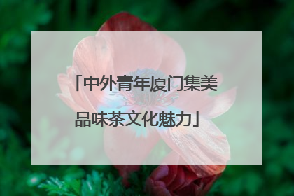 中外青年厦门集美品味茶文化魅力