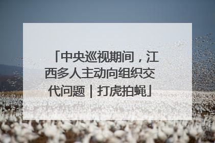 中央巡视期间，江西多人主动向组织交代问题｜打虎拍蝇