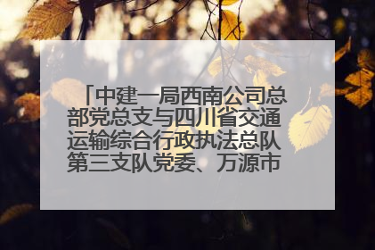 中建一局西南公司总部党总支与四川省交通运输综合行政执法总队第三支队党委、万源市草坝镇莲花院村党支部开展党建联建