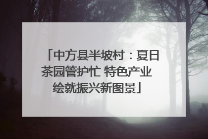 中方县半坡村：夏日茶园管护忙 特色产业绘就振兴新图景