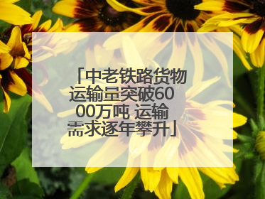 中老铁路货物运输量突破6000万吨 运输需求逐年攀升