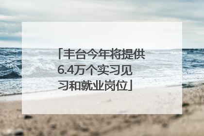 丰台今年将提供6.4万个实习见习和就业岗位