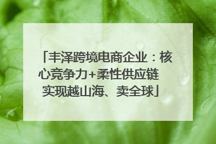 丰泽跨境电商企业：核心竞争力+柔性供应链 实现越山海、卖全球
