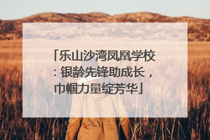 乐山沙湾凤凰学校：银龄先锋助成长，巾帼力量绽芳华