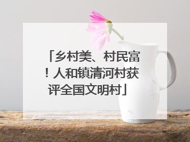 乡村美、村民富！人和镇清河村获评全国文明村