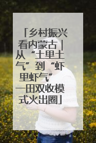 乡村振兴看内蒙古｜从“土里土气”到“虾里虾气” 一田双收模式火出圈