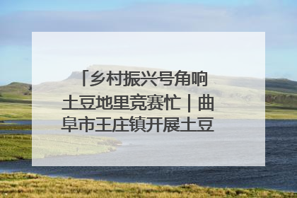 乡村振兴号角响 土豆地里竞赛忙｜曲阜市王庄镇开展土豆收获劳动竞赛