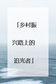 乡村振兴路上的追光者