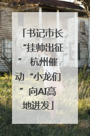 书记市长“挂帅出征” 杭州催动“小龙们”向AI高地进发