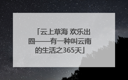 云上草海 欢乐出圈——有一种叫云南的生活之365天