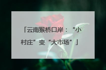 云南猴桥口岸：“小村庄”变“大市场”